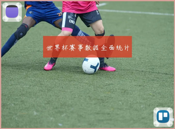 世界杯赛事数据全面统计
