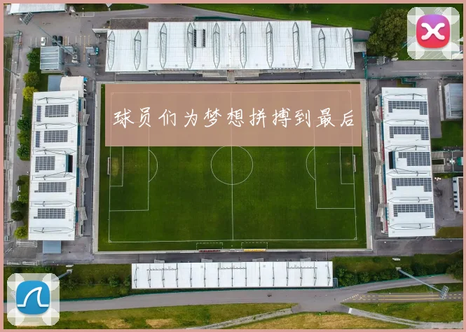 球员们为梦想拼搏到最后
